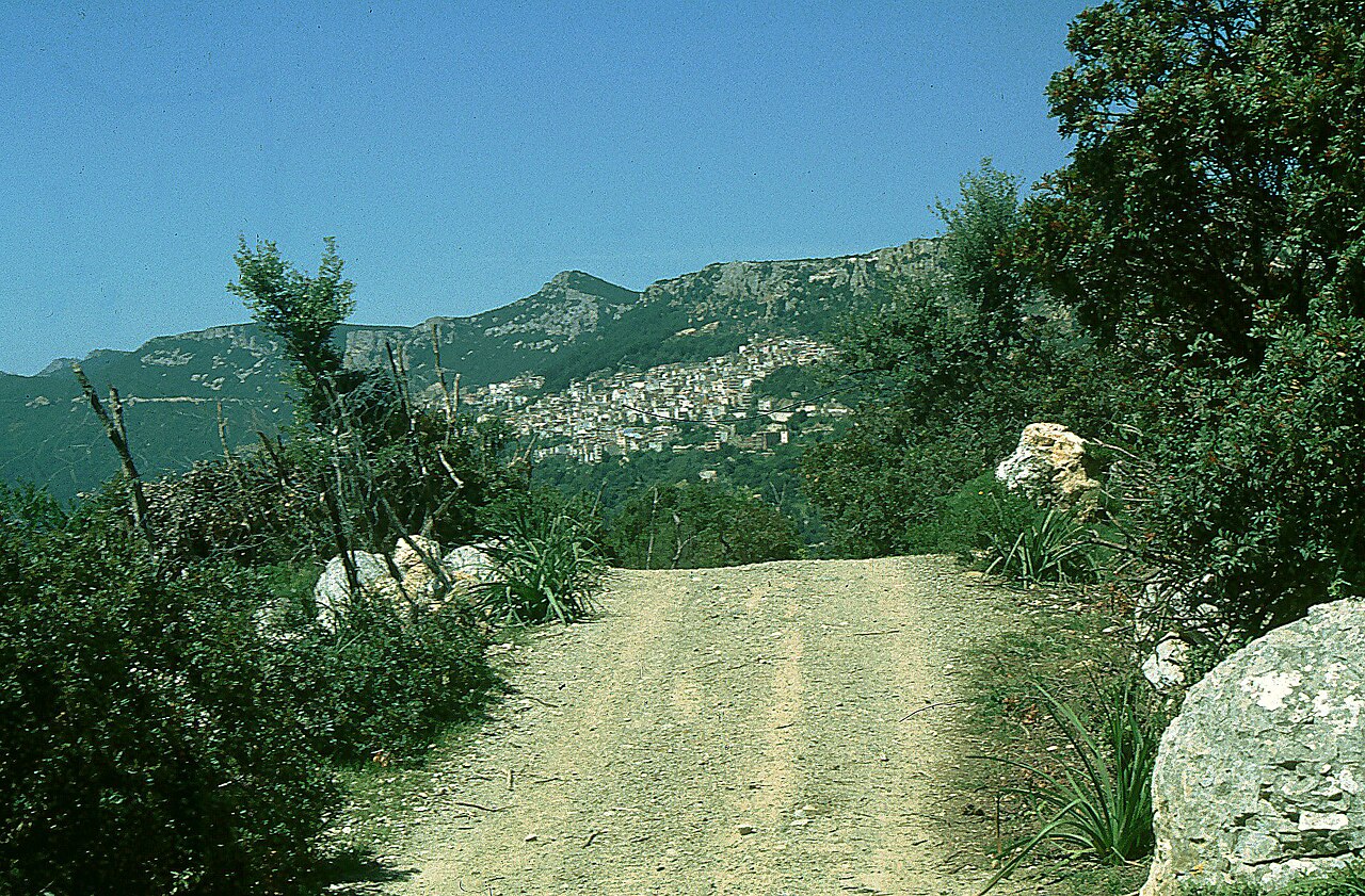 La strada che sale verso Baunei