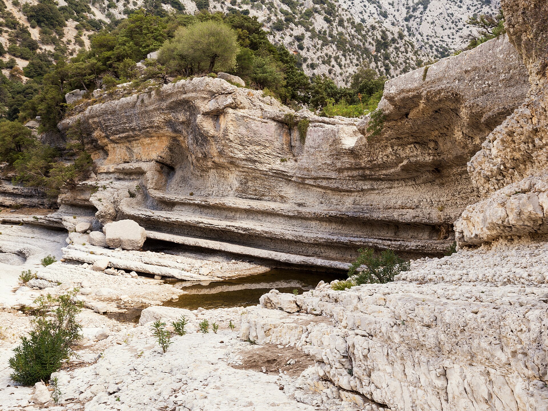 The vertical walls of the Gola di Gorropu