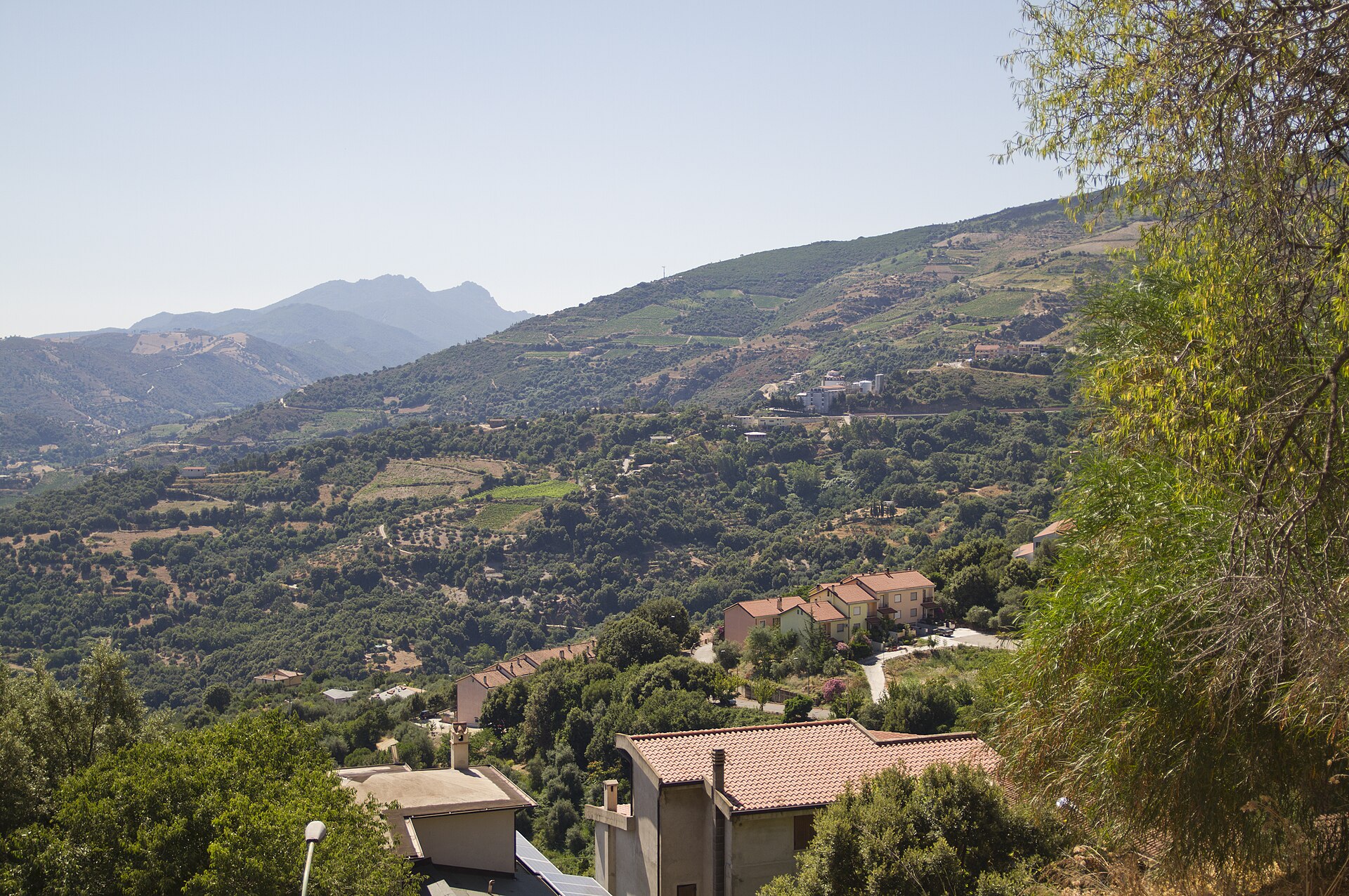 Das Dorf Jerzu und seine Terrassenhänge
